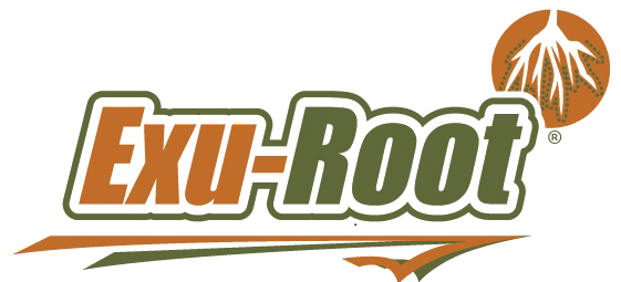 Exu-Root